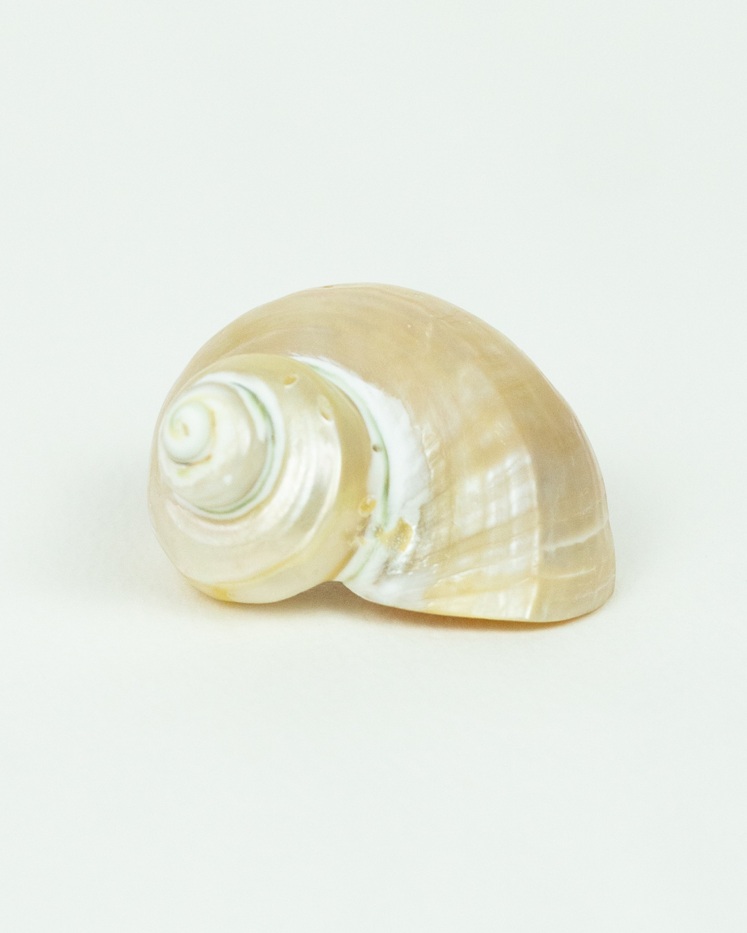 Nizza freshwater pearl necklace