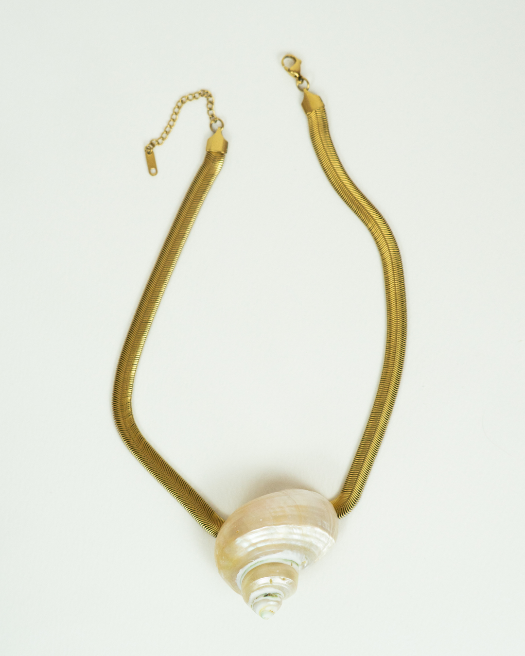 Organic shell charm